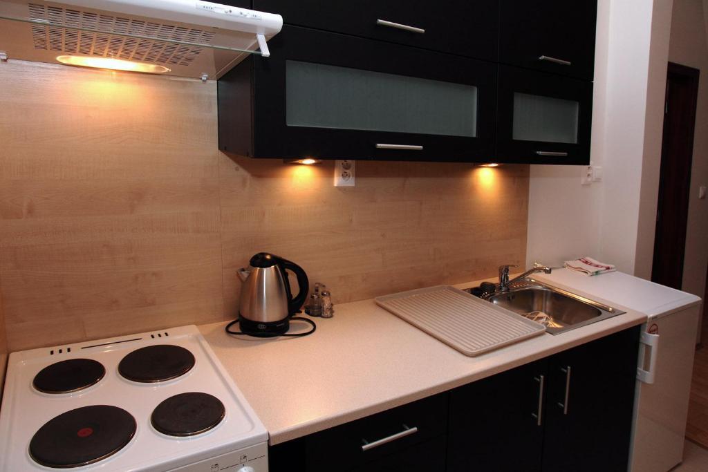 Apartmán Rekreacny Dom Vyhne Pokoj fotografie